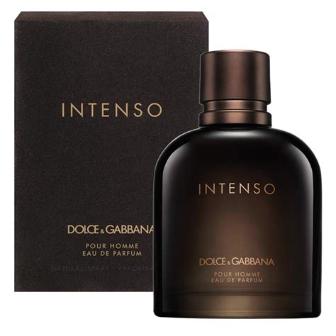 dolce gabbana parfüm intenso|perfume Dolce & Gabbana pour homme.